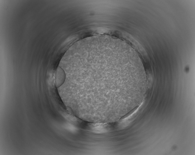 X0000116850191201001121227