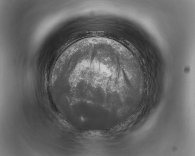 X0000116850194201001121227