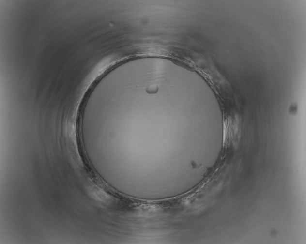 X0000116850195201001121227