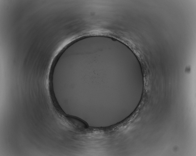 X0000116850196201001121227