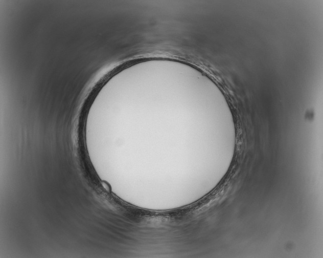 X0000116850200201001121227