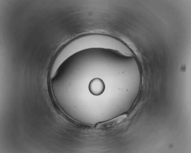 X0000116850201201001121227