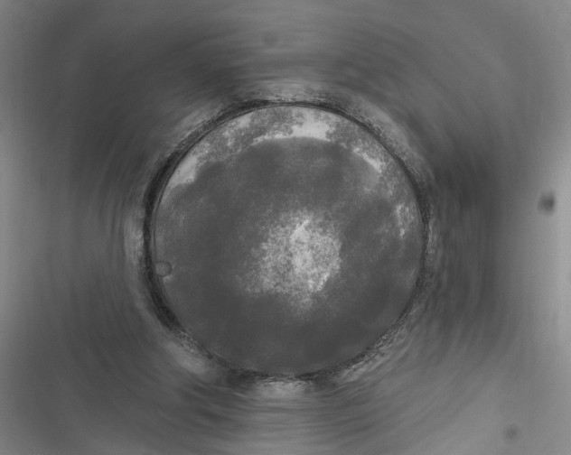 X0000116850202201001121227