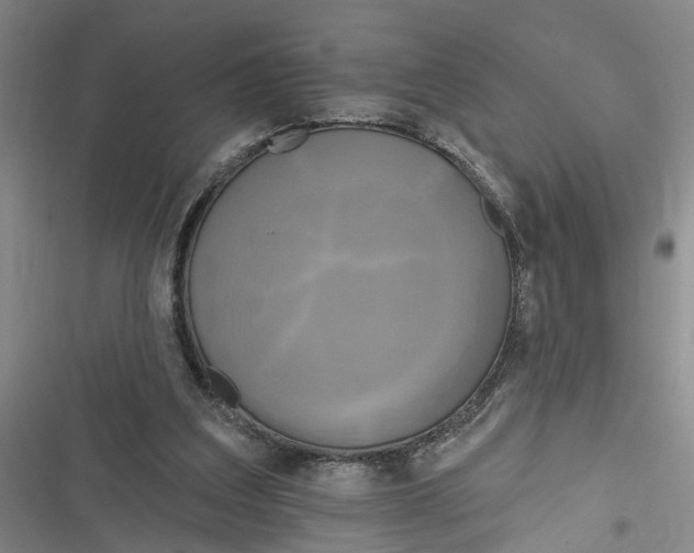X0000116850203201001121227