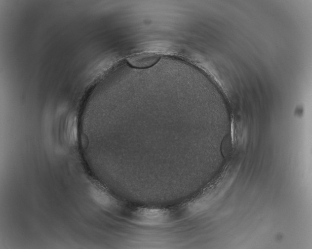 X0000116850205201001121227