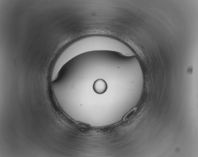 X0000116850207201001121227