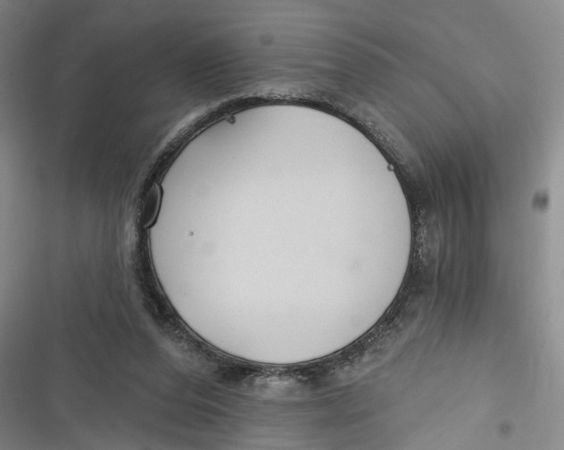 X0000116850208201001121227