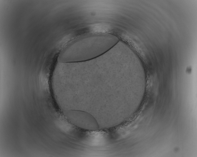 X0000116850209201001121227