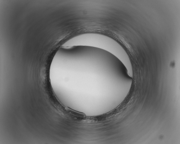 X0000116850211201001121227