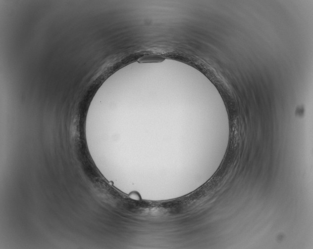 X0000116850212201001121227