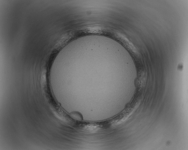 X0000116850213201001121227