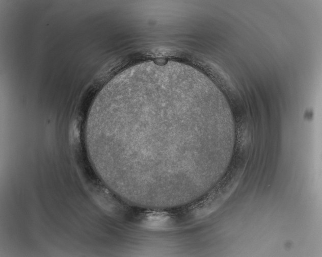 X0000116850214201001121227