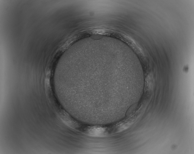X0000116850217201001121226