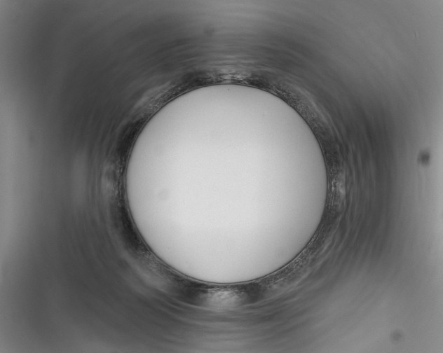 X0000116850218201001121226