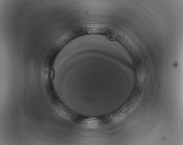 X0000116850219201001121226