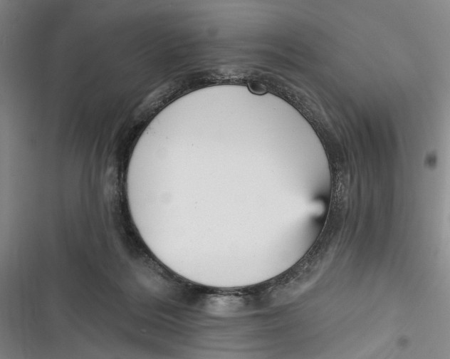 X0000116850220201001121226