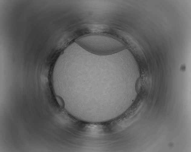 X0000116850221201001121226