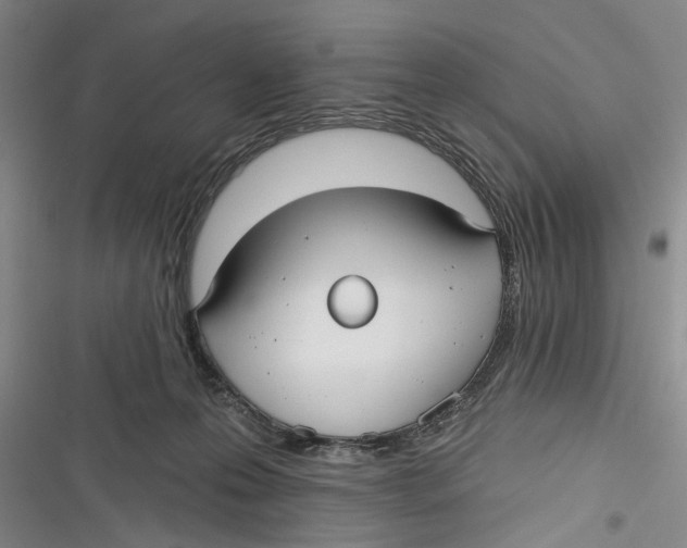 X0000116850223201001121226