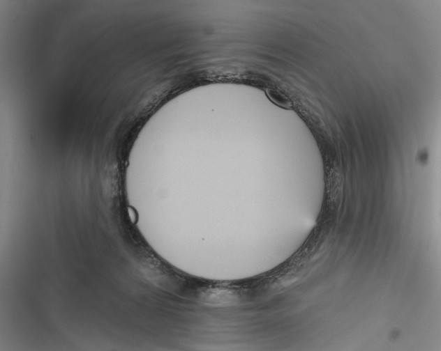 X0000116850224201001121226