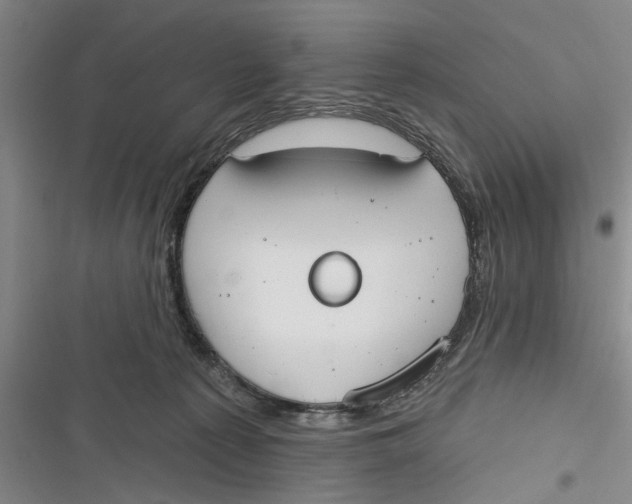 X0000116850225201001121226
