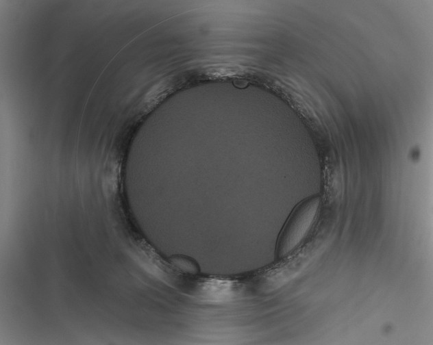 X0000116850227201001121226