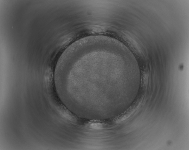X0000116850228201001121226