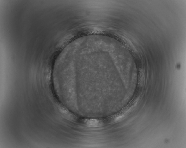 X0000116850230201001121226