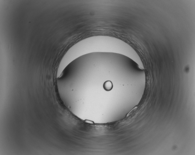 X0000116850233201001121226