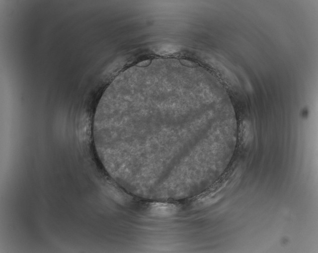 X0000116850234201001121226