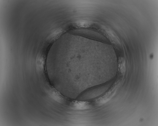 X0000116850235201001121226