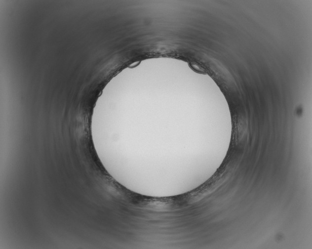 X0000116850236201001121226
