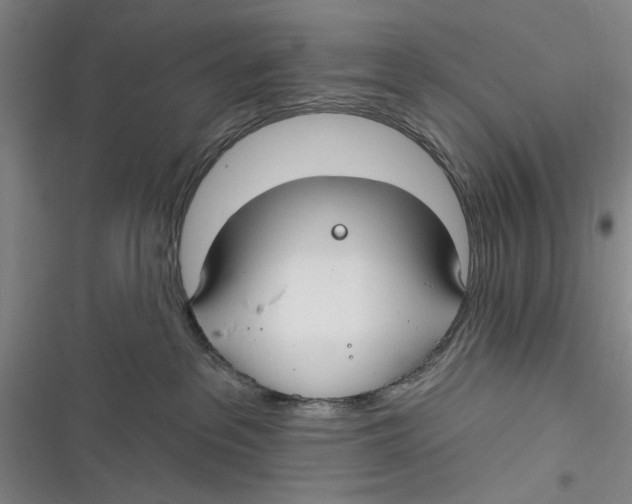 X0000116850237201001121226