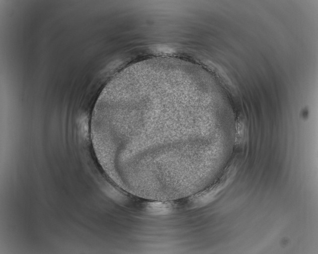 X0000116850238201001121226