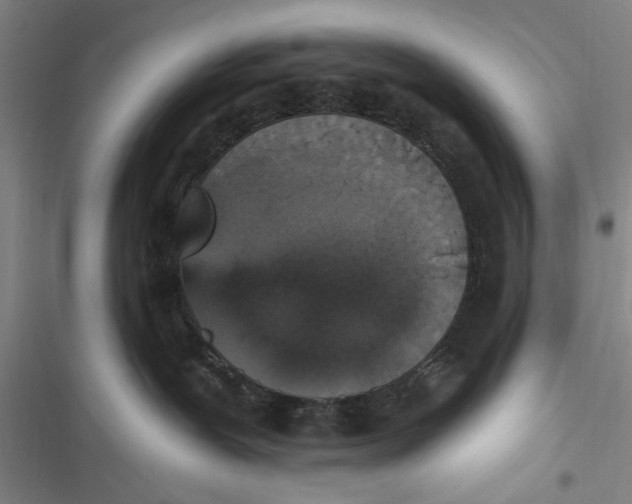 X0000116850239201001121226