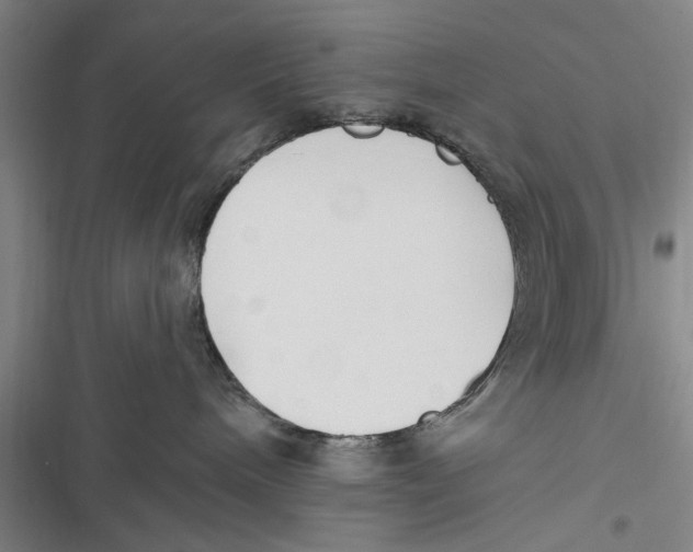 X0000116850240201001121226