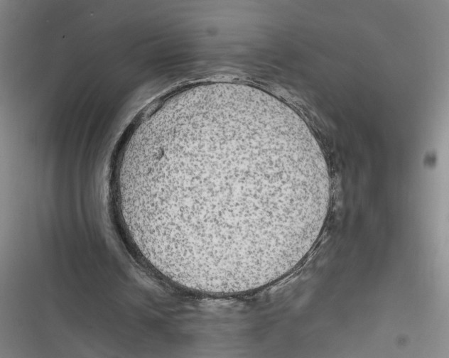 X0000116850242201001121226