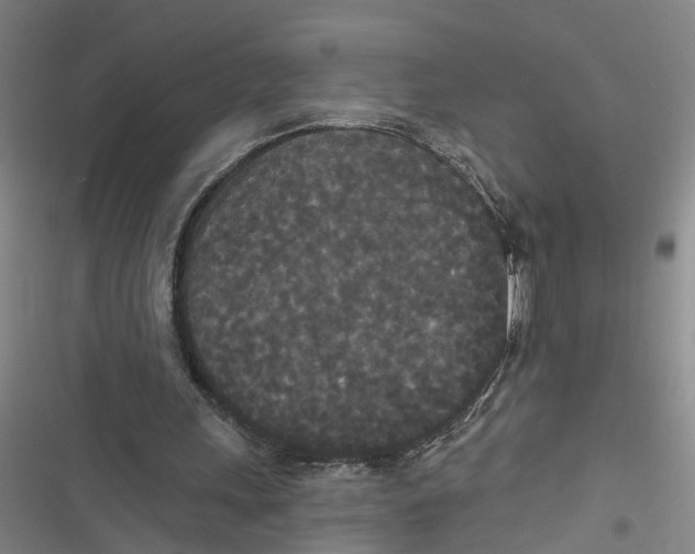 X0000116850243201001121226