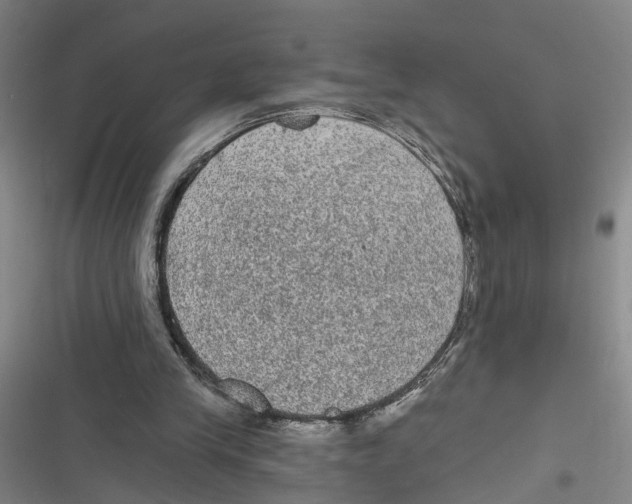 X0000116850245201001121226