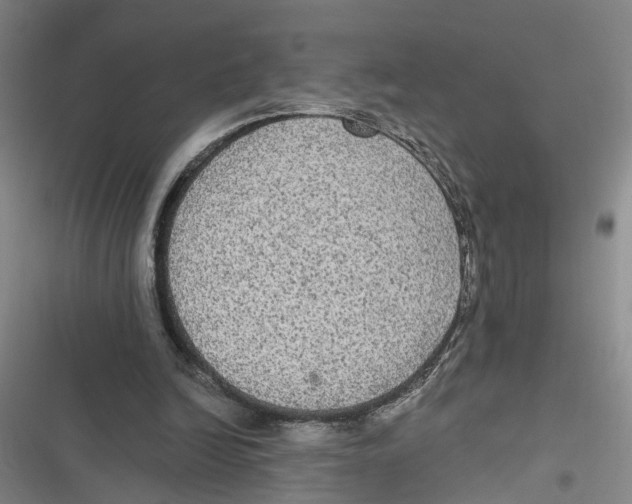 X0000116850246201001121226