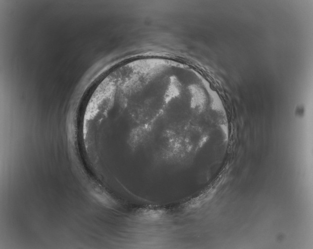 X0000116850247201001121226