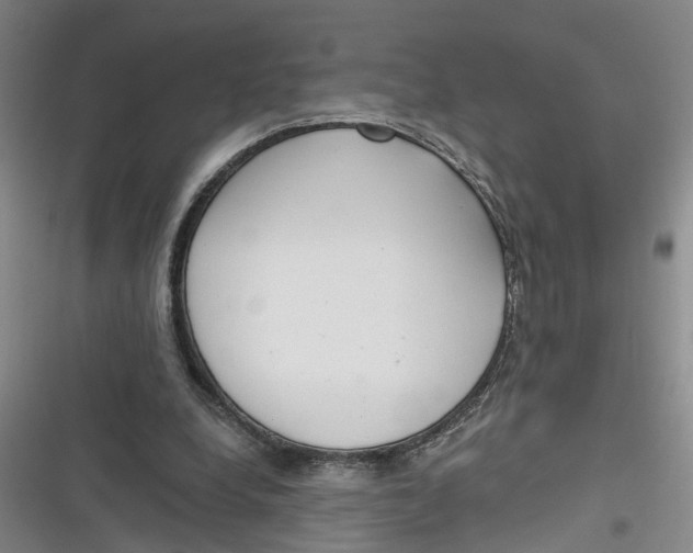 X0000116850248201001121226