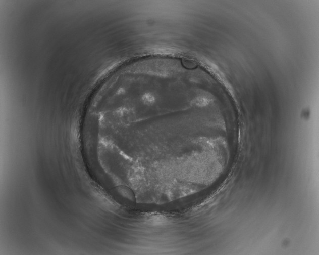 X0000116850249201001121226