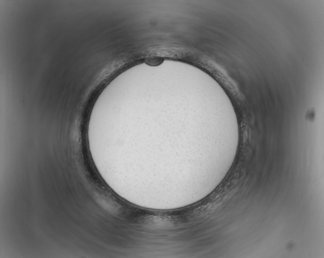 X0000116850250201001121226