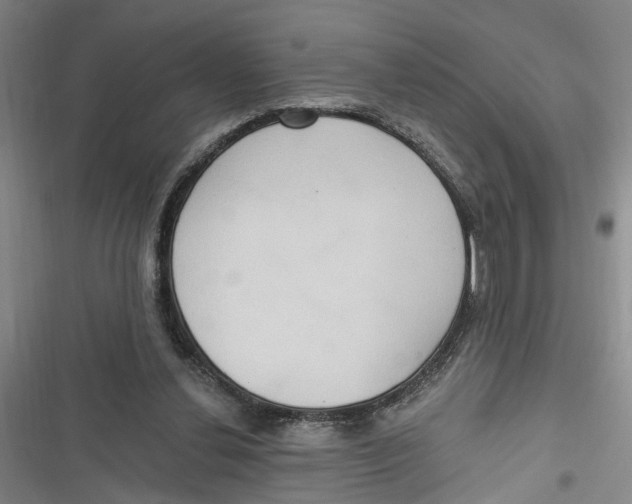 X0000116850252201001121226