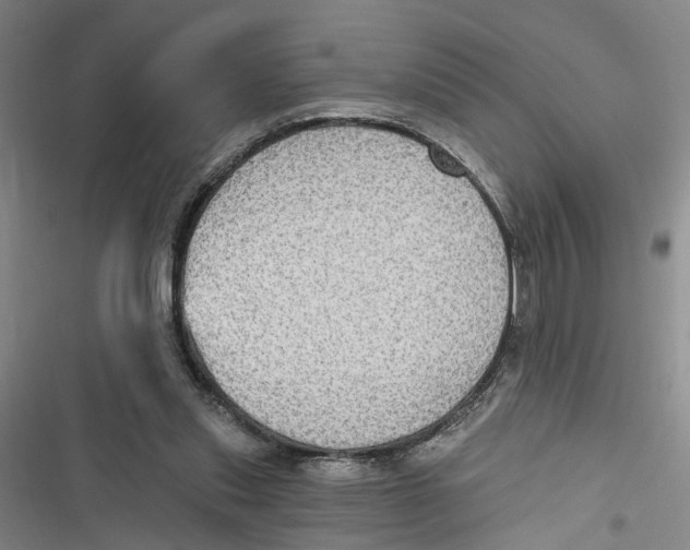 X0000116850253201001121226