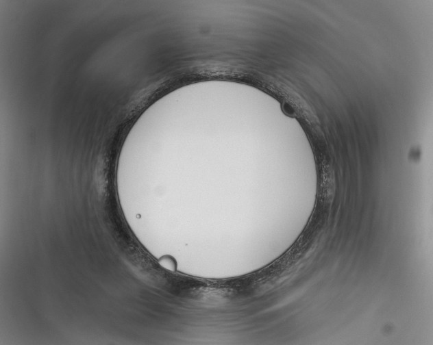 X0000116850255201001121226