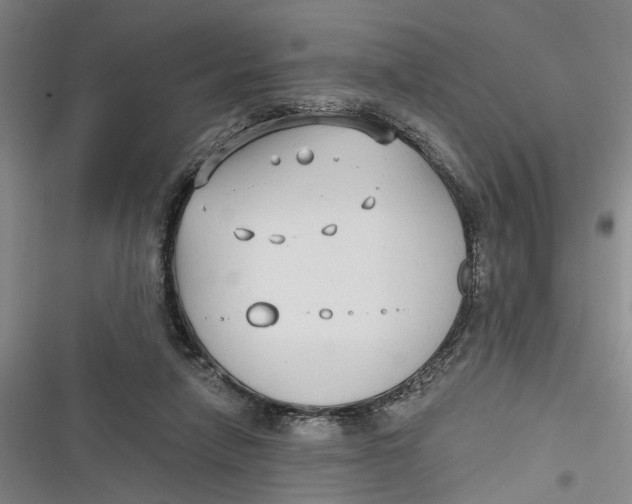 X0000116850258201001121226