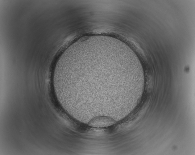 X0000116850260201001121226