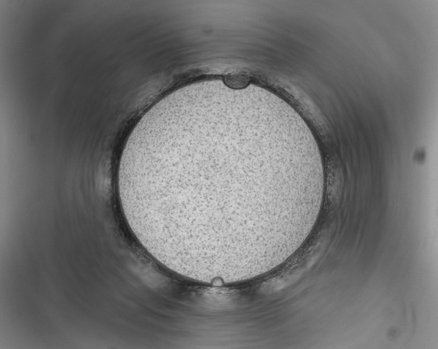 X0000116850261201001121226