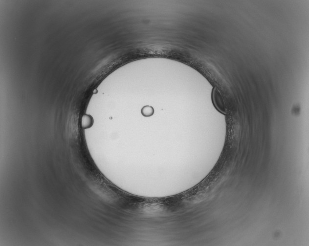 X0000116850262201001121226